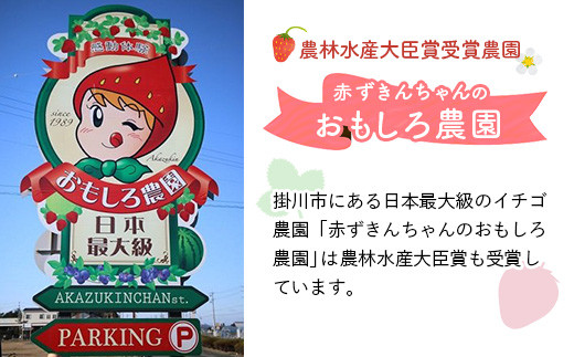 １１８４ 掛川産いちご 紅ほっぺ 約300g ６パック計1 ８ｋｇ 令和３年３月頃からの発送 赤ずきんちゃんのおもしろ農園 静岡県掛川市 ふるさと納税 ふるさとチョイス