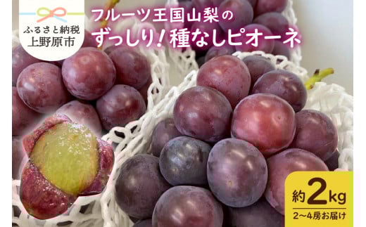 【山梨県産】ぶどう約2kg(種なしピオーネ)