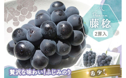 1345 酸味と甘みが口中に広がる、贅沢な味わい！希少『藤稔（ふじみのり）』