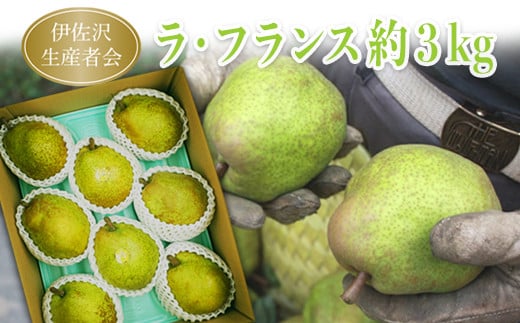 伊佐沢生産者会のラ・フランス約3kg（6～10玉）_H094(R4) 692943 - 山形県長井市