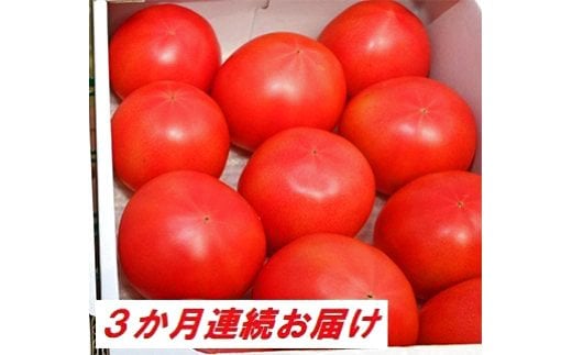 【3か月定期便】甘熟トマト『白岡の太陽』約2kg×3か月　【11246-0124】