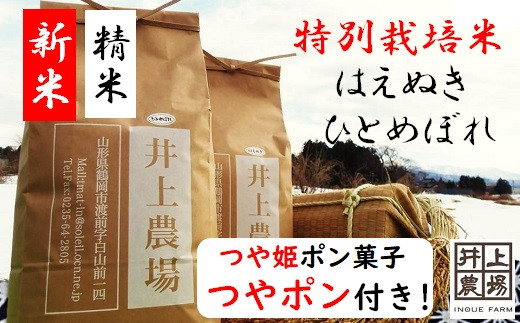 山形県三川町のふるさと納税で選べるお礼の品一覧 ふるさとチョイス 4ページ目