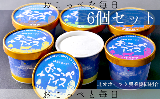 おこっぺアイス6個セット 北海道興部町 ふるさと納税 ふるさとチョイス