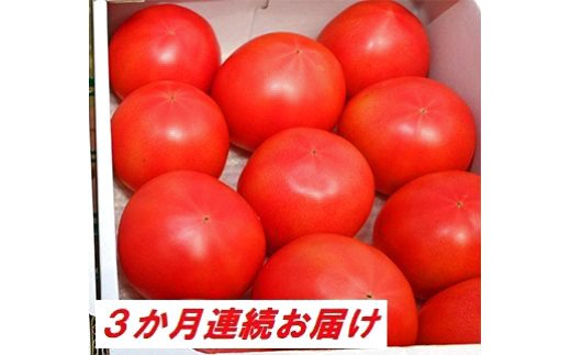 『【3か月定期便】甘熟トマト『白岡の太陽』約2kg×3か月　【11246－0124】』
