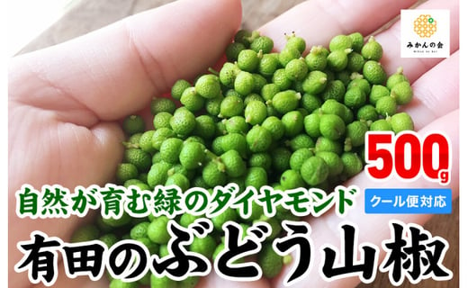 有田の山椒 ぶどう山椒 500g 実山椒 生山椒 クール便対応 和歌山県産 和歌山県有田川町 ふるさと納税 ふるさとチョイス