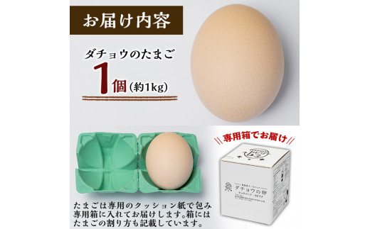 A3-002  国産！ダチョウのたまご(1個)鶏の卵の約30個分！プリン・カステラ・ホットケーキ等お菓子作りの材料として♪殻はエッグアートにしてお使いいただけます【ビッグバード・カピリナ】