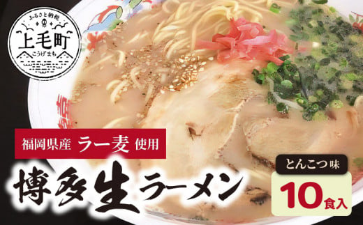  福岡県産ラー麦　博多生ラーメン　とんこつ味（100ｇ×10食入）　CA0301 238750 - 福岡県上毛町