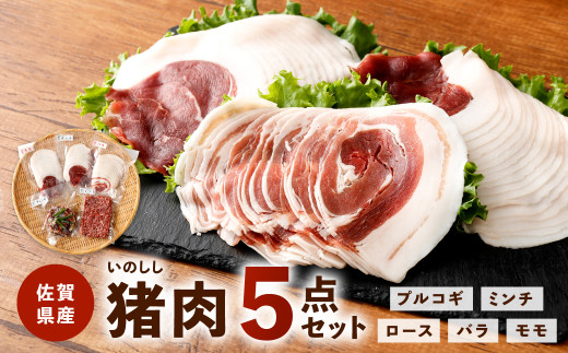 13-25 猪肉 5点 セット 合計850g ジビエ 冷凍 鳥栖