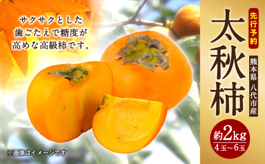 【先行予約】【2022年10月上旬以降順次発送】 太秋柿 約2kg 4玉～6玉 柿 かき
