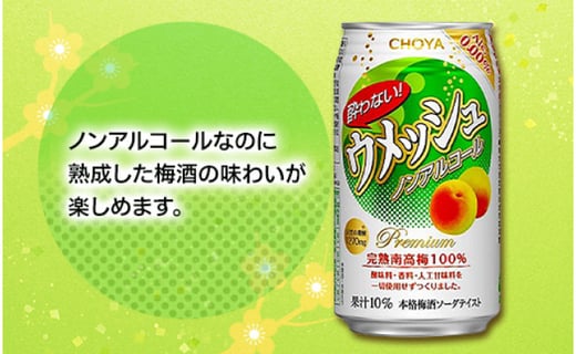 チョーヤ酔わないウメッシュ３５０ｍｌノンアルコール ４８本 和歌山県かつらぎ町 ふるさと納税 ふるさとチョイス