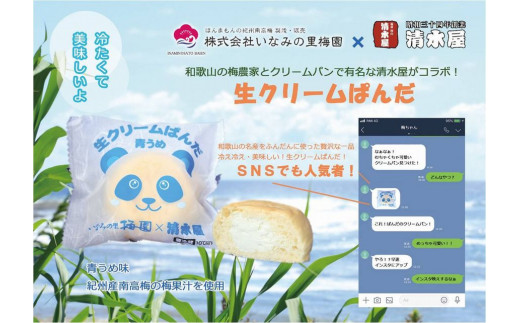 生クリームぱんだ （青うめ） 10個 もっちりふわふわのパンで包んだ絶品パン 763176 - 和歌山県串本町