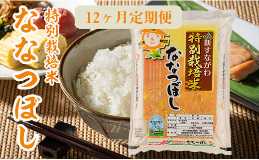 R2at10 特別栽培米ななつぼし5kg 12ヶ月定期便 令和2年産 北海道奈井江町 ふるさと納税 ふるさとチョイス