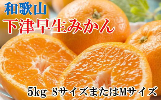 【産直】和歌山下津早生みかんSまたはM5kg ※2024年11月中旬～2025年1月中旬頃に順次発送【tec870】 763193 - 和歌山県串本町