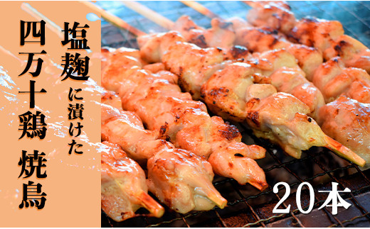 塩麹につけた四万十鶏の焼鳥 本 高知県大月町 ふるさと納税 ふるさとチョイス