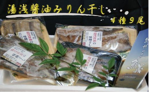 和歌山の近海でとれた新鮮魚の湯浅醤油みりん干し4品種9尾入りの詰め合わせ 763125 - 和歌山県串本町