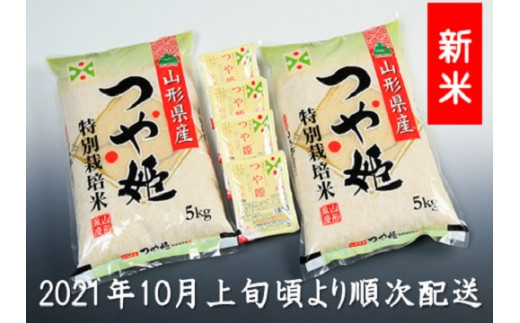 つや姫パックライス24p 2箱 山形県三川町 ふるさと納税 ふるさとチョイス