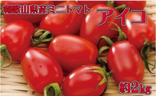 和歌山産ミニトマト「アイコトマト」約2kg（S・Mサイズおまかせ ...