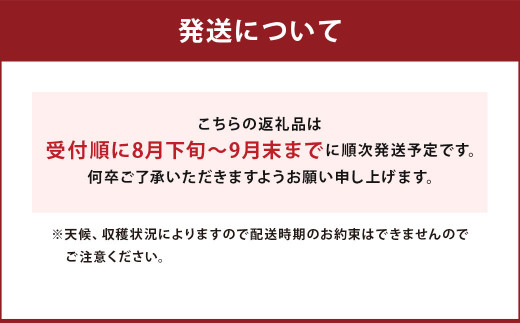 シャインマスカット 350g 3 計1050g 8月下旬 順次発送 福岡県筑後市 ふるさと納税 ふるさとチョイス