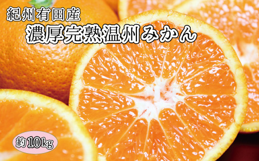 完熟有田みかん　10kg　※2024年11月下旬頃〜2025年1月下旬頃に順次発送予定(お届け日指定不可)【uot705】 763085 - 和歌山県串本町