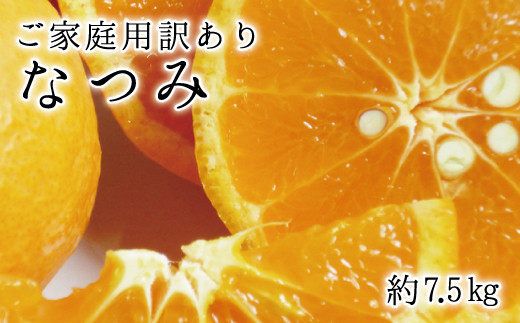 【ご家庭用訳アリ】初夏のみかん なつみ7.5kg　※2025年4月中旬〜2025年4月下旬頃に順次発送予定(お届け日指定不可) 763180 - 和歌山県串本町