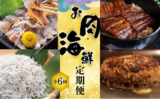 【お試し】お肉・海鮮 定期便(全6回お届け) H028-020