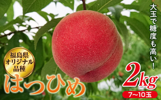 福島県産 はつひめ 2kg 2024年7月上旬～2024年7月中旬発送 先行予約 予約 伊達の桃 オリジナル品種 桃 もも モモ 果物 くだもの フルーツ 国産 食品 F20C-371 266570 - 福島県伊達市