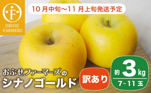 シナノゴールドは、しっかりとした甘みの中にさわやかな酸味がある長野生まれの黄色りんごです。