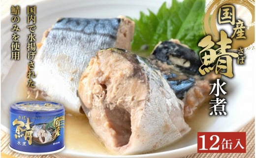 国産鯖水煮12缶セット 千葉県銚子市 ふるさと納税 ふるさとチョイス