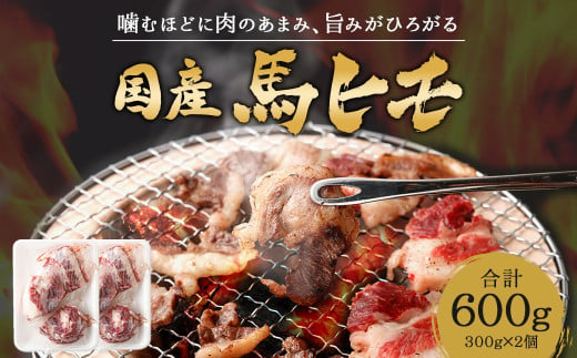 国産 馬ヒモ 焼肉用 600g 馬肉 お肉 煮込み 冷凍 熊本県