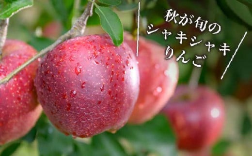 秋映は、秋に収穫時期を迎える長野県オリジナルの品種で、甘味と酸味のバランスが絶妙で濃厚な味わいをお楽しみいただけます。