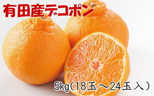 【お味濃厚】紀州有田産のデコポン約5kg(18玉～24玉入り・青秀以上) ※2025年1月中旬～3月中旬頃順次発送(お届け日指定不可)【tec810A】 763157 - 和歌山県串本町