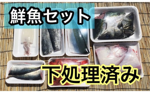 OM-39　みくりや季節の鮮魚セット（下処理済み） 866903 - 鳥取県大山町
