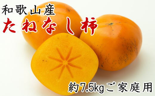 【秋の味覚】和歌山産のたねなし柿ご家庭用約7.5kg ※2025年9月中旬~2025年11月上旬頃に順次発送【tec410A】 763138 - 和歌山県串本町