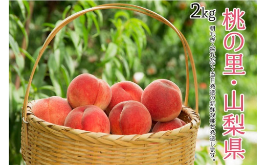 1.5-1-38山梨県南アルプス市産 完熟桃 品種おまかせ 約2㎏