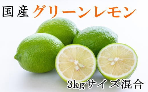 【産直】和歌山産グリーンレモン約3kg（サイズ混合）※2024年10月中旬～11月中旬頃より順次発送 763152 - 和歌山県串本町