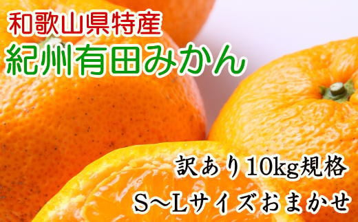 [訳あり規格]和歌山有田みかん10kg（S～Lサイズおまかせ）※2025年11月中旬～2026年1月中旬頃順次発送【tec830A】 763160 - 和歌山県串本町