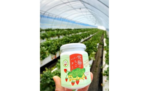 スカイベリー100 使用 究極のいちごバター 栃木県真岡市 ふるさと納税 ふるさとチョイス