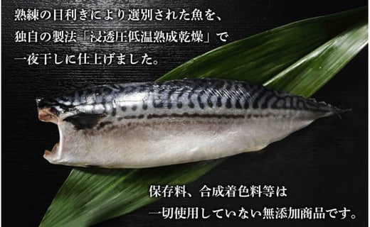 こだわり熟成干物詰め合わせ 千葉県銚子市 ふるさと納税 ふるさとチョイス