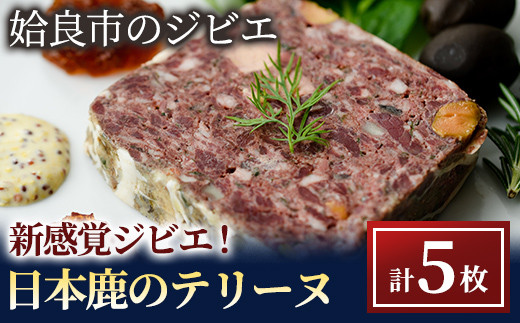 a615 国産！姶良市のジビエ！日本鹿肉テリーヌ5枚!東京広尾の