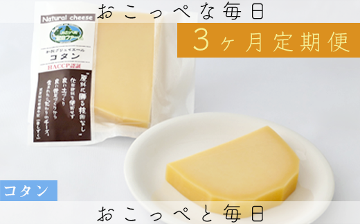 牧場から直送 コタン2個セット 3ヶ月定期便 北海道興部町 ふるさと納税 ふるさとチョイス