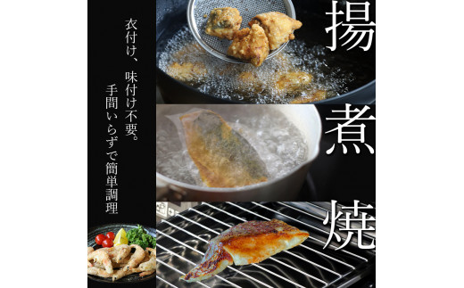 Du2 冷凍食品セット 熊本の地魚 簡単調理 揚げ 焼き 煮物 全7種類 熊本県玉名市 ふるさと納税 ふるさとチョイス