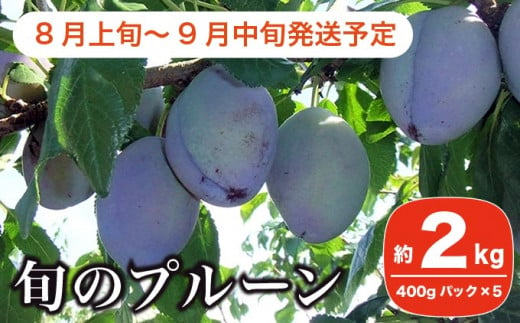 長野県産 旬のプルーン 約2kg 小布施屋 22年8月上旬 9月中旬発送 先行予約 数量限定 生プルーン 果物 フルーツ 信州産 夏 長野県小布施町 ふるさとチョイス ふるさと納税サイト