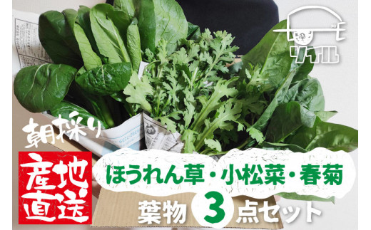 飛騨古川 朝採り 野菜セット 野菜 詰め合わせ 葉物野菜3点 ほうれん草 小松菜 春菊 計9g 岐阜県飛騨市 ふるさと納税 ふるさとチョイス