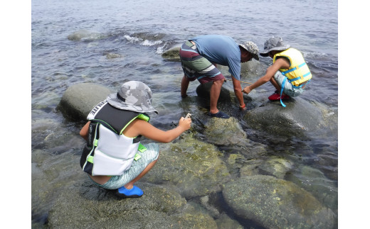 自然体験 ご家族におすすめ 島民の遊び体験 穴釣り体験チケット 60分 1名 新潟県粟島浦村 ふるさと納税 ふるさとチョイス