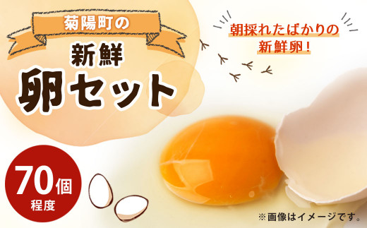 菊陽町の新鮮たまごセット ／ 生卵 タマゴ 新鮮 朝採れ 熊本県 特産品
