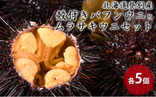 5793 0905 北海道登別産 殻付きバフンウニとムラサキウニセット各5個 7月お届け 納期指定不可 北海道登別市 ふるさと納税 ふるさとチョイス