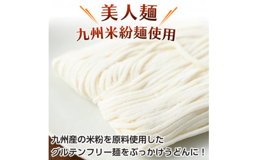 AR-A28 九州産米のぶっかけうどん＜グルテンフリー生麺使用＞(180g×8袋