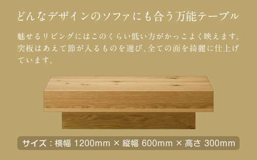 センター テーブル ハル オーク リビング 家具 収納 木製 OAK - 熊本県 