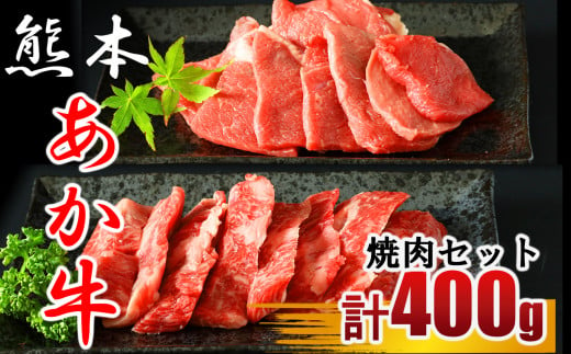 牛肉 あか牛 焼き肉用 約400g （バラ・もも） 326494 - 熊本県玉名市