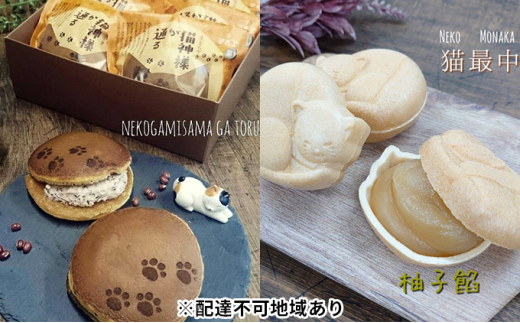 5552 0127 栄泉堂 猫最中6個 猫神様が通る生どら焼き10個 セット 宮城県丸森町 ふるさと納税 ふるさとチョイス